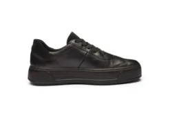 Ara 122301218-Trainer.