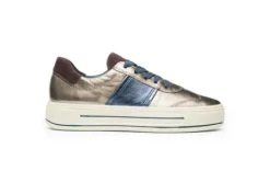Ara 122301205-Trainer.