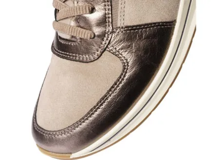 Ara 122483617-Trainer.