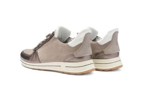 Ara 122483617-Trainer.