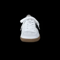 Paul Green 5350086- Trainer.