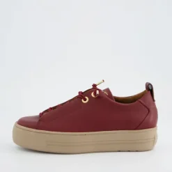 Paul Green 5017438- Trainer.