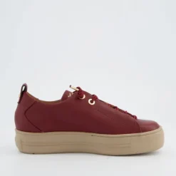 Paul Green 5017438- Trainer.