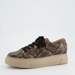 Paul Green 5469058- Trainer Boa.