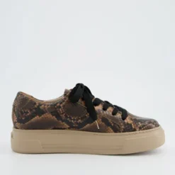 Paul Green 5469058- Trainer Boa.