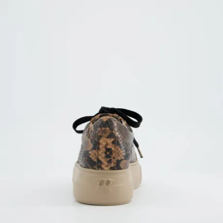 Paul Green 5469058- Trainer Boa.
