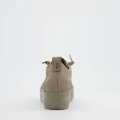 Paul Green 5017418-Trainer.