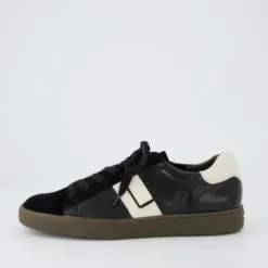 Paul Green 5464208-Trainer.