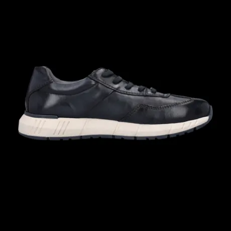 Salamander Navy Leather Trainer|E31ASA0541-